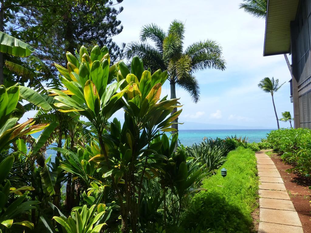 Aparthotel Mahina Surf 220 By Redawning Lahaina Zewnętrze zdjęcie
